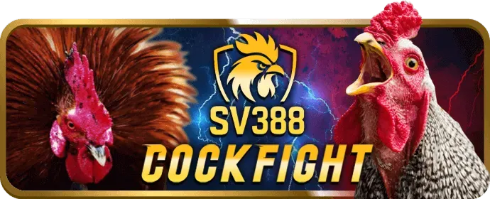 Tổng quan về đá gà trực tuyến tại v9bet88 trang chủ chính thức