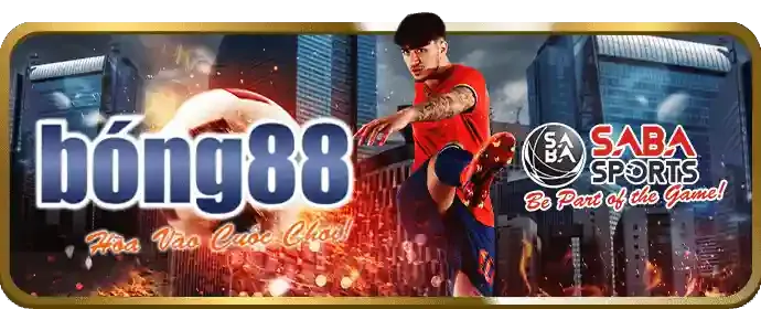 Nền tảng an toàn và minh bạch